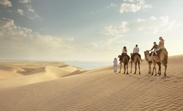 عائلة الحائلي وش يرجع