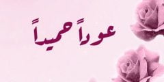 عبارات الرد على عودا حميدا