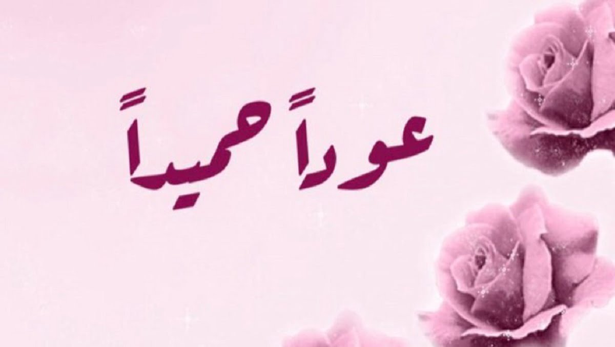 عبارات الرد على عودا حميدا
