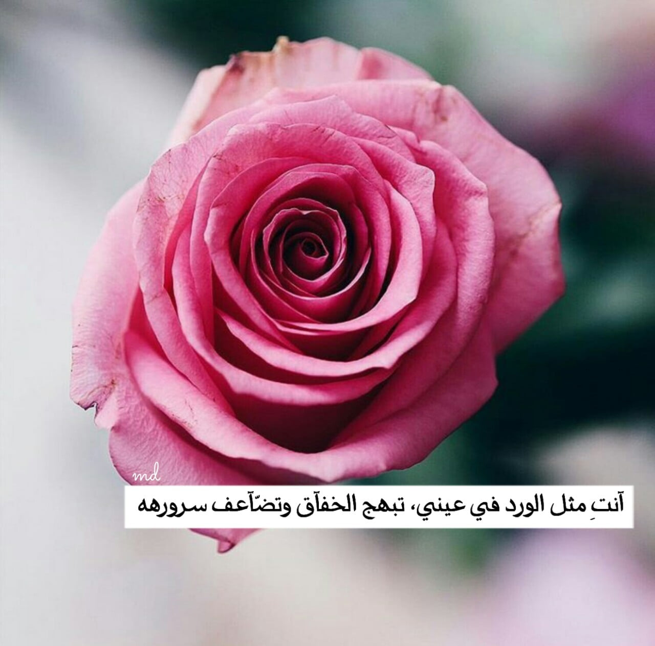 كلمات في عيد ميلاد ابني البكر 2022