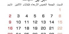 عبارات وأمثال شعبية عن شهر شباط