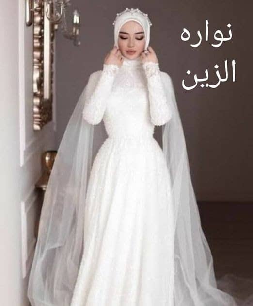 عدد فصول رواية نوارة الزين