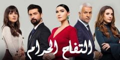 قصة مسلسل التفاح الحرام قصة عشق