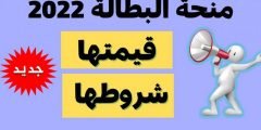 كيفية التسجيل في منحة البطالة 2022