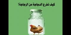 لغز كيف تخرج الدجاجة من الزجاجة