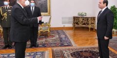 من هو المستشار سعيد مرعي