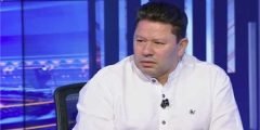 من هو رضا عبد العال ويكيبيديا