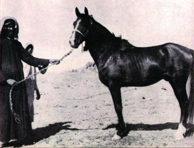 من هي عبيه