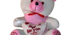 عبارات عن اليوم العالمي للدب تيدي happy teddy day