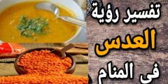 تفسير حلم رؤية العدس في المنام لابن سيرين