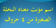 اسم مؤنث معناه النخلة الصغيرة من 4 حروف