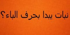 اسم نبات بحرف الياء ي واهم المعلومات عنه