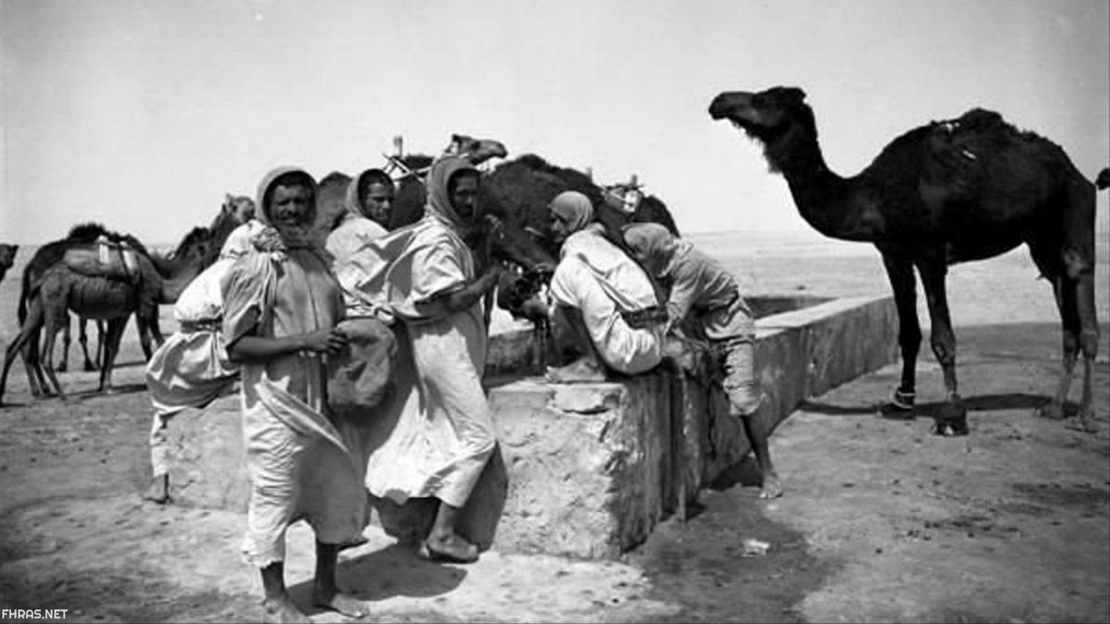 الشنيفي وش يرجعون