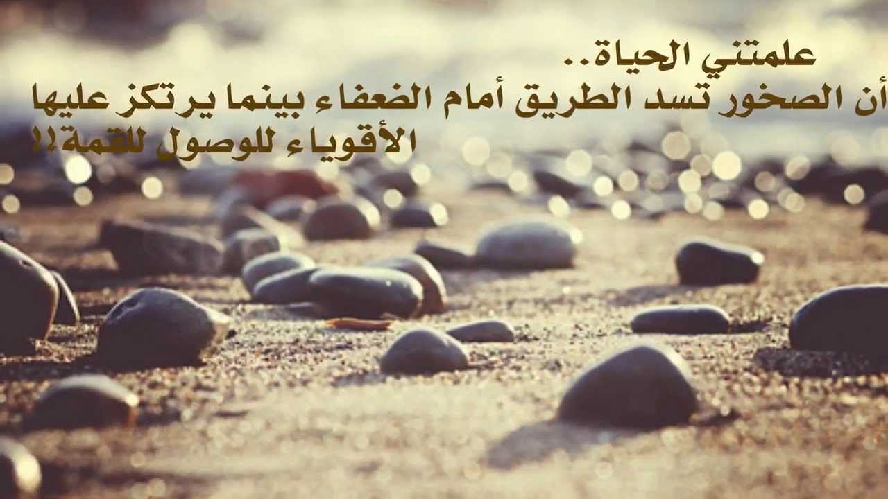 عبارات عن الحياة والناس