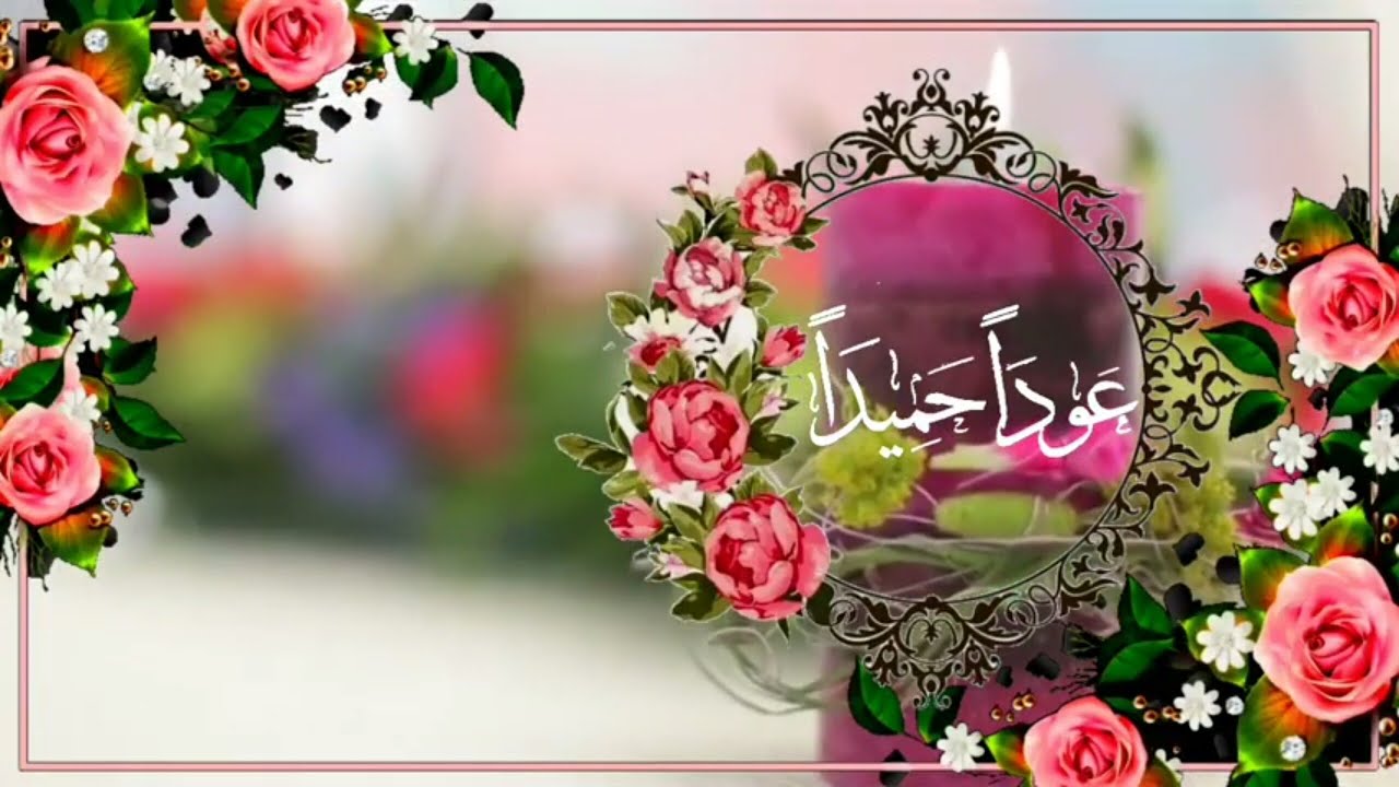 عبارات جميلة للرد على عودا حميدا
