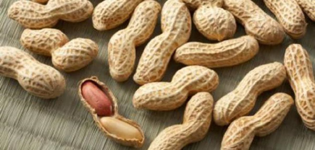 ما معنى كلمة سبال بالبحريني