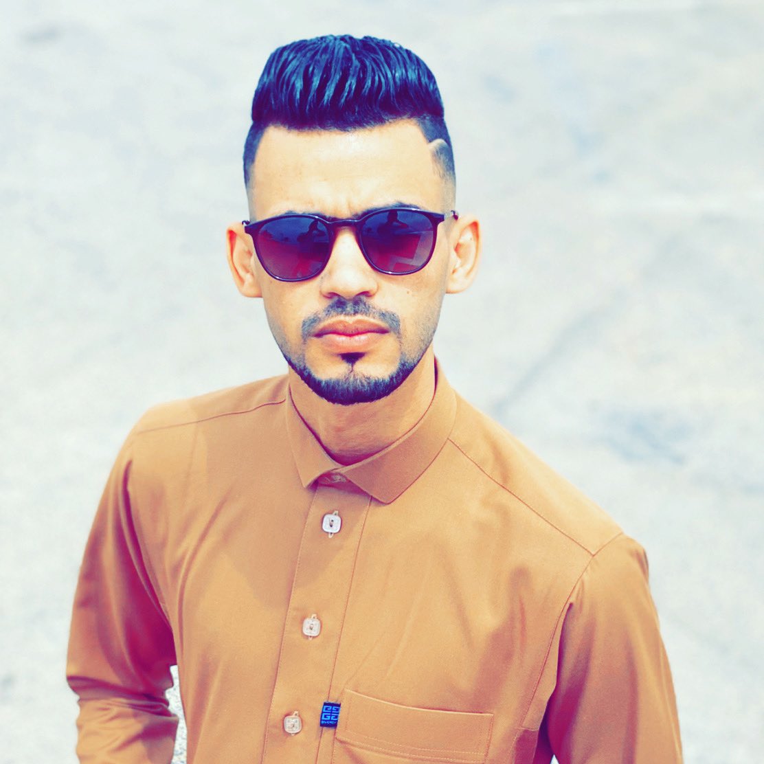 من هو سلطان الشن ويكيبيديا السيرة الذاتية
