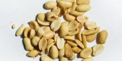 وش اسم السبال المملح بالاماراتي
