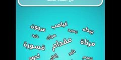 اشهر اسماء الاسد في اللغة العربية