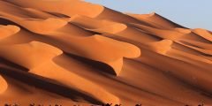 الباحسين وش يرجعون اصل عائلة الباحسين من وين