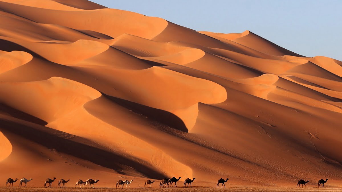 الباحسين وش يرجعون اصل عائلة الباحسين من وين