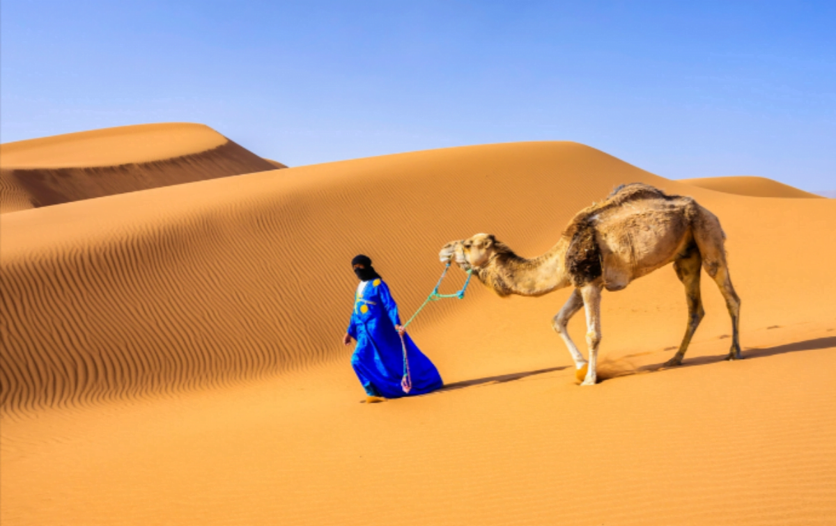 الشريم وش يرجعون ؛ اصل عائلة الشريم من وين