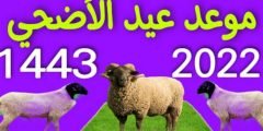 كم باقي على عيد الاضحى 2022 العد التنازلي لعيد الاضحى