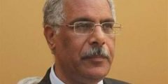 من هو جمال علام ويكيبيديا السيرة الذاتية
