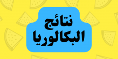 استخراج الان نتائج البكالوريا 2022 في سوريا عبر رابط نتائج امتحانات البكالوريا 2022 موقع وزارة التربية والتعليم