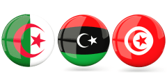 الحركات الاستقلالية بالجزائر وتونس وليبيا