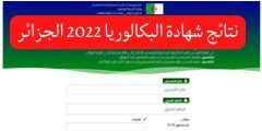 رابط الديوان الوطني للامتحانات للاستعلام عن نتائج البكالوريا 2022