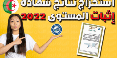 رابط نتائج اثبات المستوى المراسلة 2022 امتحان إثبات المستوى عبر موقع الديوان الوطني للتعليم عن بعد