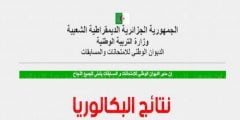رابط نتائج شهادة البكالوريا 2022 bac.onec.dz