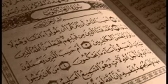 سبب تسمية سورة العنكبوت بهذا الإسم لذكر
