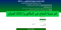 كم نسبة النجاح في البكالوريا 2022 الجزائر