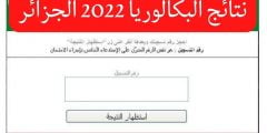 موعد إعلان نتائج البكالوريا 2022 الجزائر