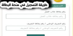موقع التسجيل في منحة البطالة 2022 minha anem dz