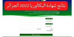 نتائج البكالوريا الجزائر دورة جوان 2022 الباك الديوان الوطني للامتحانات والمسابقات