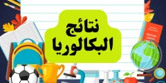 نتائج البكالوريا حسب المدرسة 2022