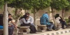 حقيقة منع الاختلاط في الجامعات العام الدراسي المقبل