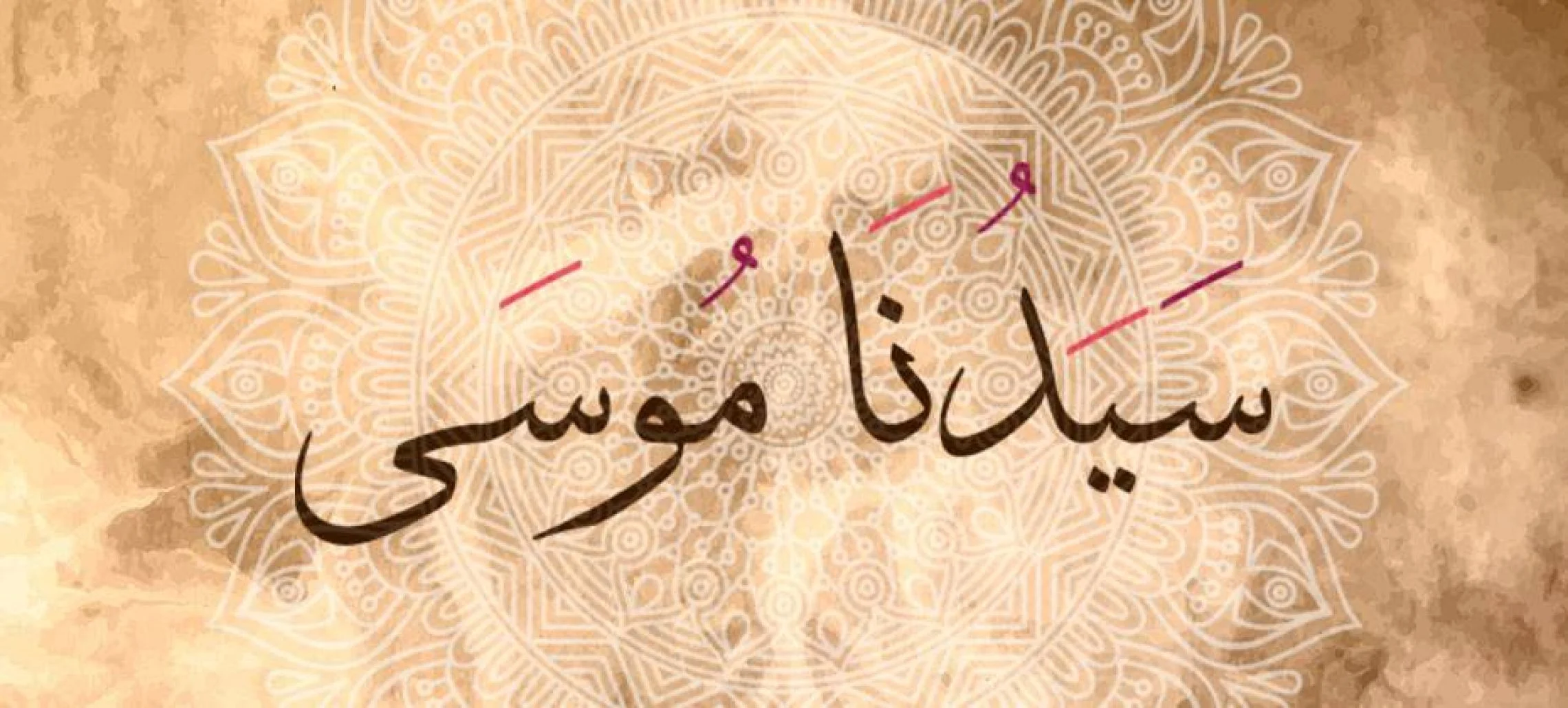 ما هي دعوات موسى السبع