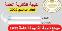 نتائج الثانوية العامة 2022 في مصر عبر الموقع الرسمي لوزارة التربية والتعليم بالرقم القومي