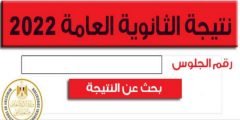 نتيجة الثانوية العامة الدور الاول بالاسم ورقم الجلوس على الموقع الرسمي لوزارة التعليم المصرية