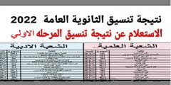 نتيجه تنسيق المرحله الاولى للثانويه العامه