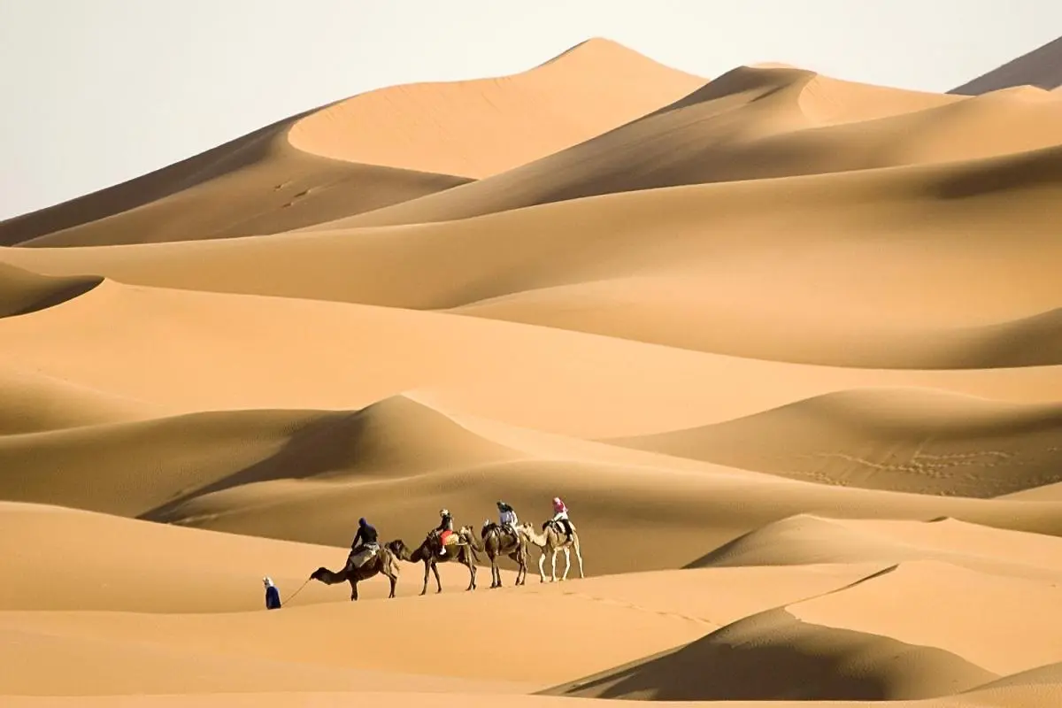 العطوي وش يرجع هل العطوي عتيبي ؟