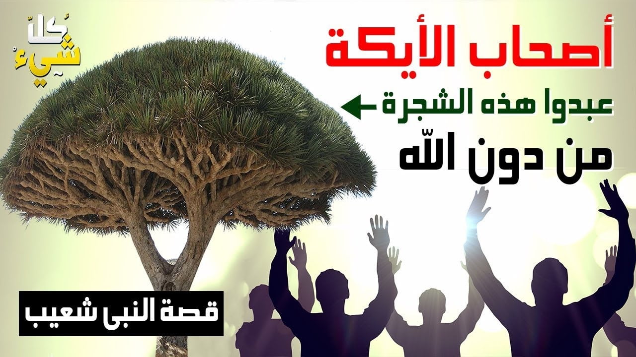ماذا كان يفعل اصحاب الايكة؟