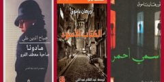 أشهر 10 روايات تركية مترجمة للعربية