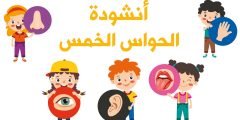 كلمات اغنية انا انسان لي احساس