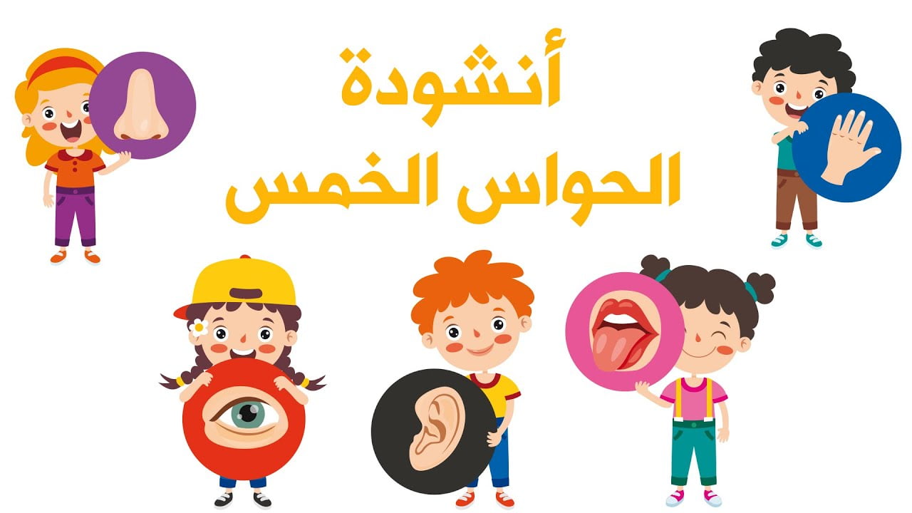 كلمات اغنية انا انسان لي احساس