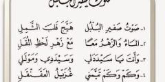 كلمات قصيدة صوت صفير البلبل مكتوبة
